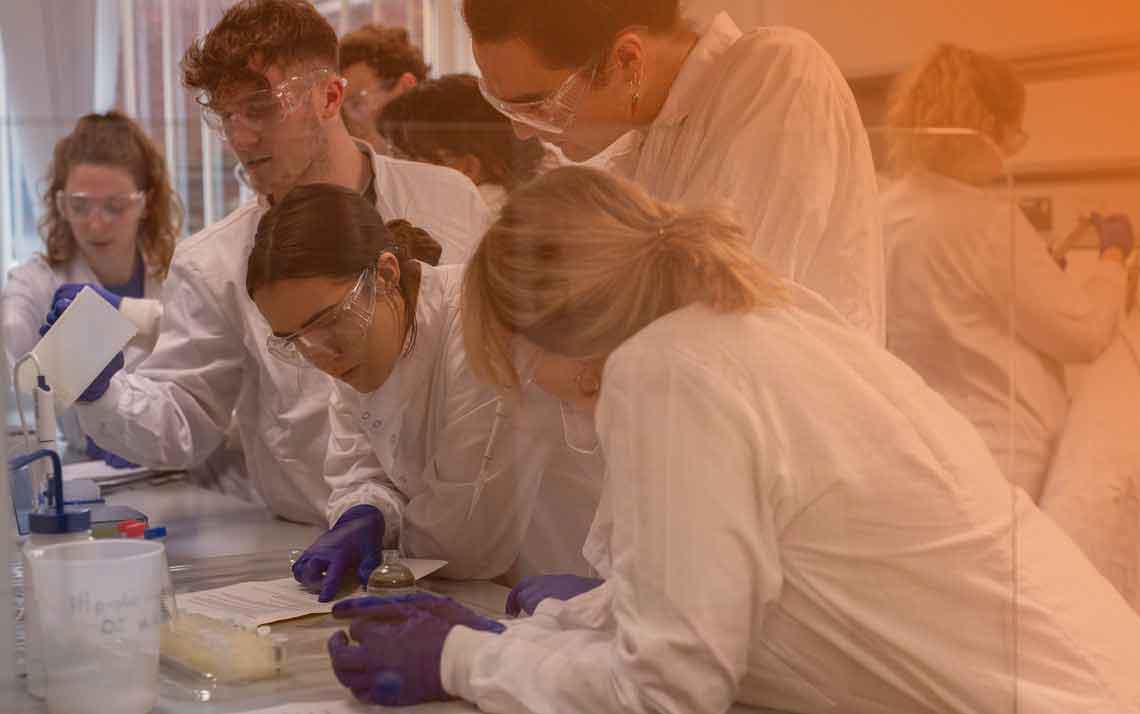 Cohort of eight researchers working at a lab bench